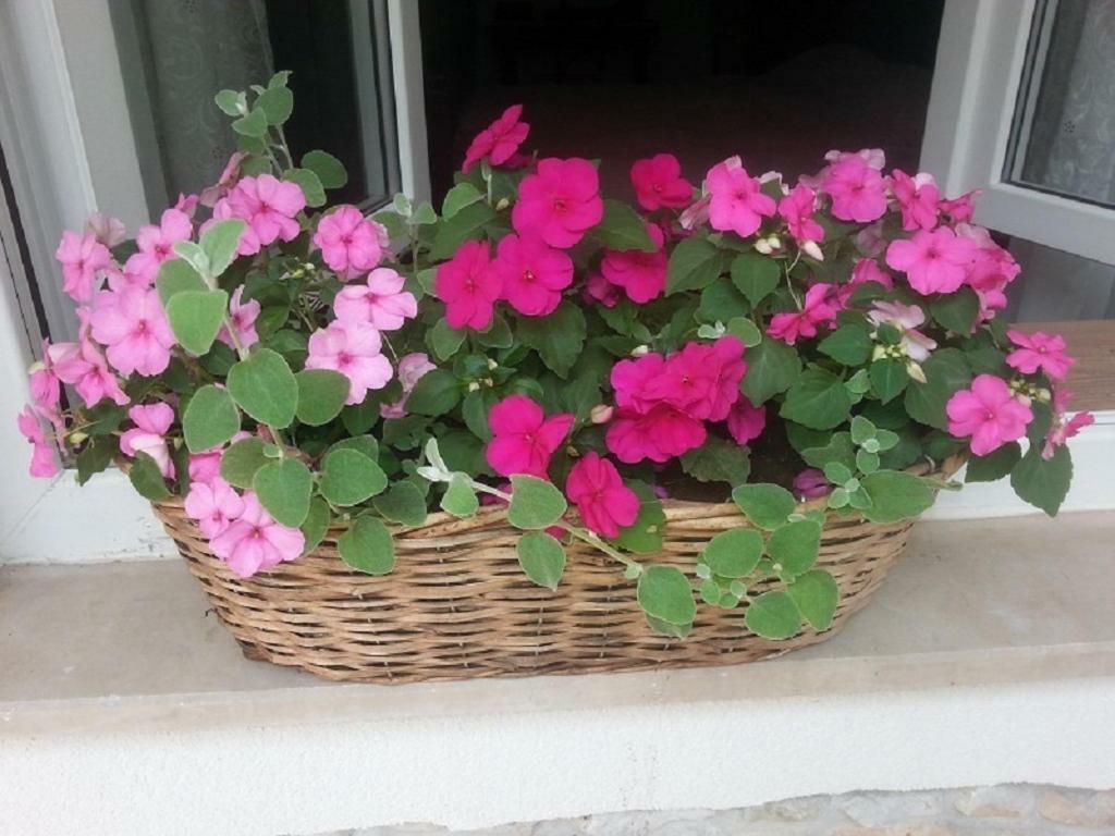 Rosa Apartman Crikvenica Eksteriør bilde